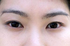 ヴァン・ベール【VAN-VEAL】によるエステ体験と店舗情報の完全ガイド